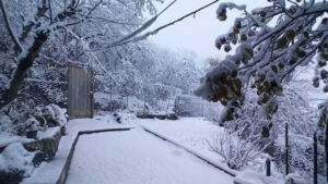 بارش برف اشکور رودسر را سفیدپوش کرد