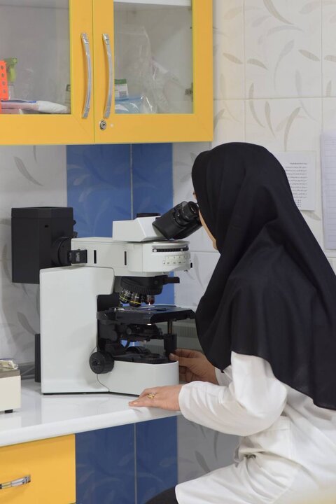 جای خالی پژوهشگران خراسان شمالی در تصمیم گیری های کلان