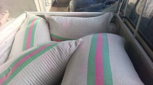 توزیع بذرهای بومی و مقاوم برای احیای منابع طبیعی کرمانشاه