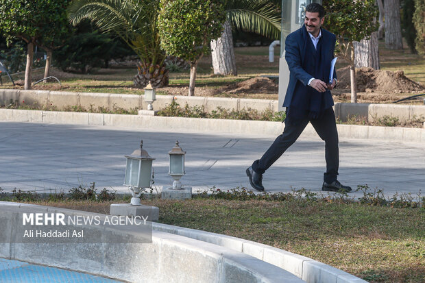 حاشیه جلسه هیئت دولت