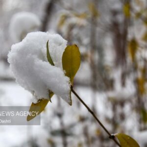 بارش شدید برف در نیشابور