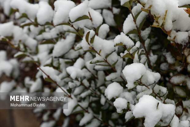 بارش اولین برف پاییزی در اردبیل