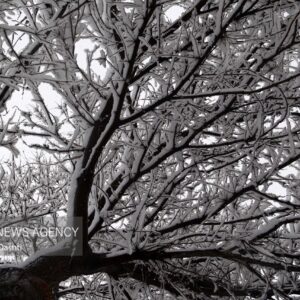 تصاویری از بارش برف در شهرستان طرقبه