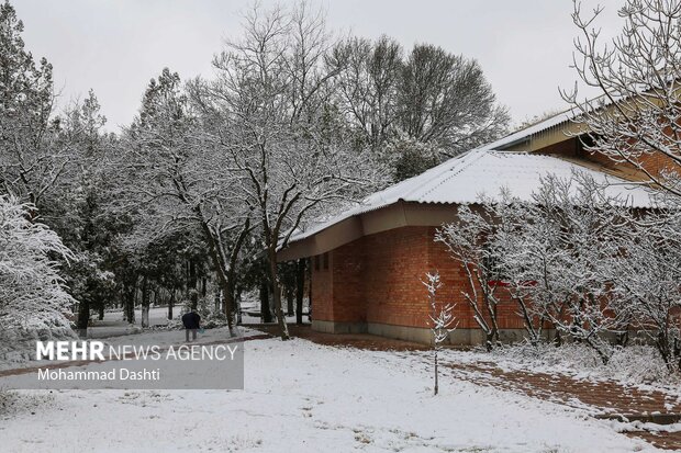 بارش اولین برف پاییزی در اردبیل