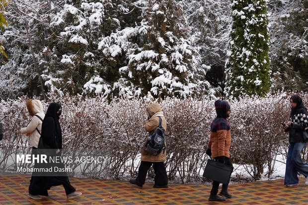 بارش اولین برف پاییزی در اردبیل