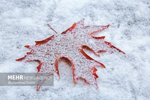 بارش شدید برف در مشهد