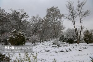 بارش برف پاییزی در اهر