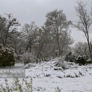 ارتفاع ۴۰ سانتی متری برف در کجور؛ راه ۴۲ روستای بالادست بسته است