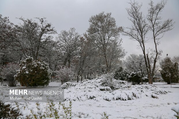 بارش اولین برف پاییزی در اردبیل