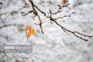 رخت سفید بر تن ارتفاعات استان یزد