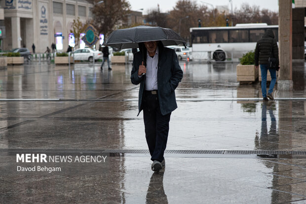 بارش باران در مشهد
