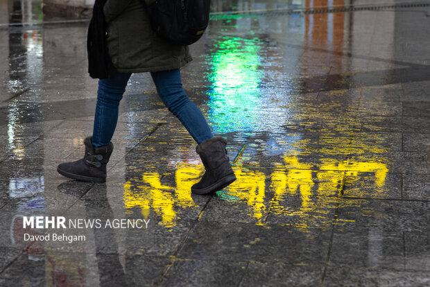 بارش باران در مشهد