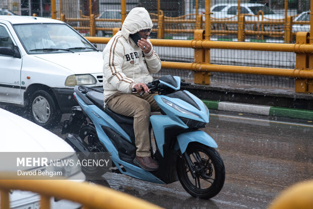بارش باران در مشهد