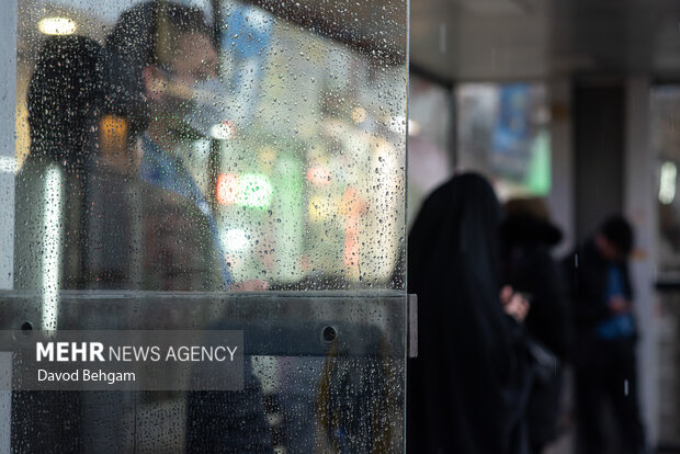 بارش باران در مشهد