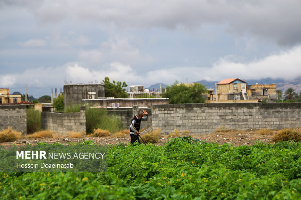 زیبایی طبیعت هشتبندی هرمزگان پس از باران