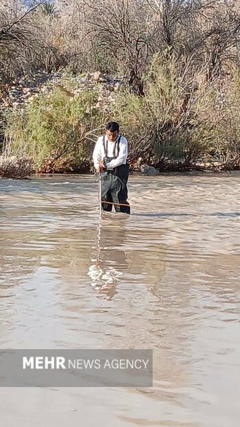 بوشهر حین و بعد از بارندگی؛ وضعیت سدها، رودخانهها و تأسیسات آبی