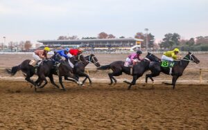 رقابت ۷۰ اسب در روز دوم هفته ششم کورس‌های پاییزی گنبدکاووس