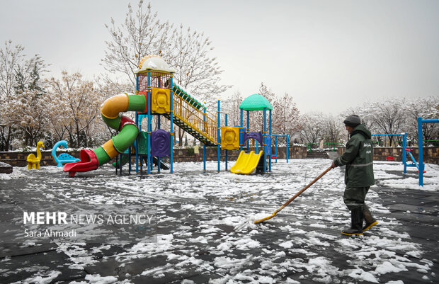 مشهد در یک روز برفی