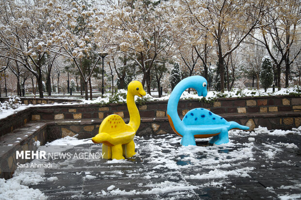 مشهد در یک روز برفی