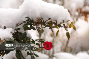 اصفهان سفیدپوش شد