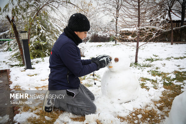 مشهد در یک روز برفی