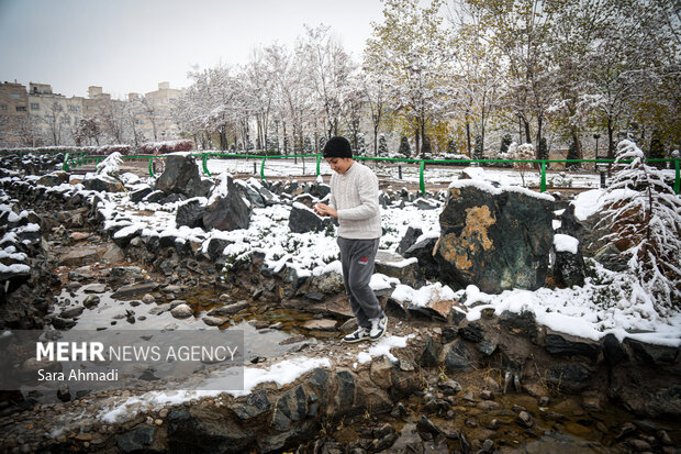 مشهد در یک روز برفی