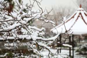 هوای مشهد پاک و برفی است