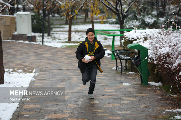 مشهد در یک روز برفی