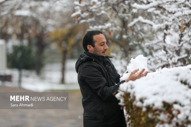 مشهد در یک روز برفی