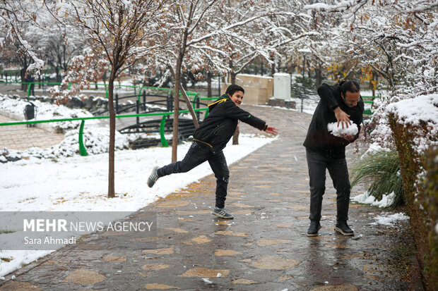 مشهد در یک روز برفی