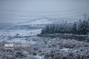 قاسمی: دمای هوای مشهد امشب به منفی ۲ درجه می رسد؛آغاز بارش شدید برف