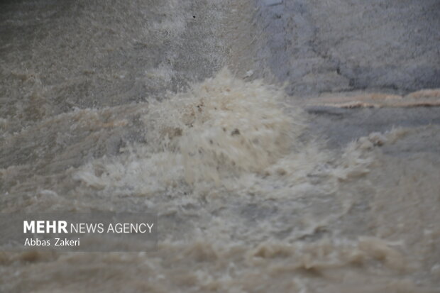 تصاویری از بارندگی در روستای زو صالح‌آباد