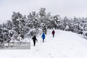 بارش ۵۵ سانتی متری برف در روستای علی کرمی دمچنار