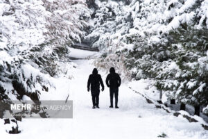 بارش برف در تفرجگاه پیر کدو شهرستان بوانات فارس