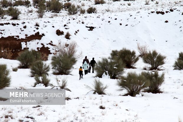 طبیعت برفی مناطق کوهستانی سیرجان