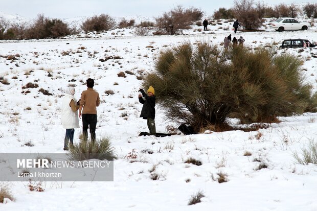 طبیعت برفی مناطق کوهستانی سیرجان