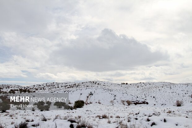 طبیعت برفی مناطق کوهستانی سیرجان