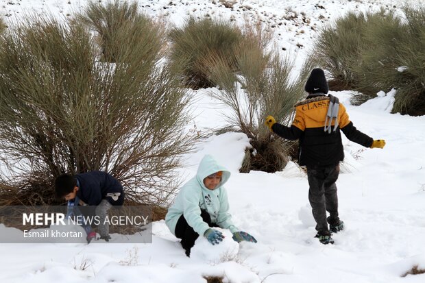 طبیعت برفی مناطق کوهستانی سیرجان