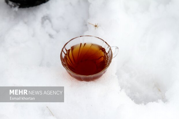 طبیعت برفی مناطق کوهستانی سیرجان