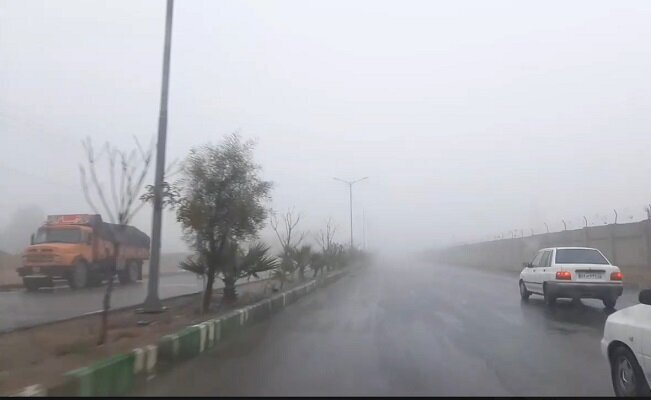 هشدار مه صبحگاهی در محورهای استان بوشهر