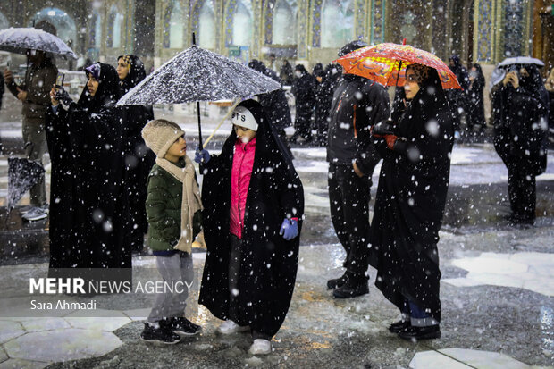 بارش برف در حرم مطهر امام رضا(ع)