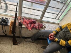 شناسایی و دستگیری چهار متخلف شکار حیات‌وحش در منطقه حفاظت‌شده سبزکوه