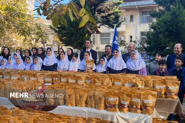 نیازمند: ۶۰۰ بسته یلدایی به همت دانش‌آموزان بسیجی گیلان توزیع شد