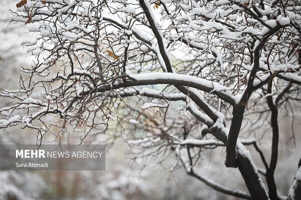 برف ۱۳ خانه‌روستایی در کوهسرخ را تخریب کرد