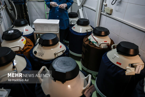 تانک جنین منجمد محلی است برای حفظ و نگهداری جنین 