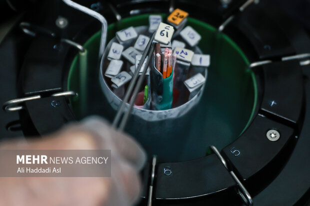 کیت های منجمد جنین هر یک با اسم نویسی و نامگذاری در تانکر های آب هیدروژن و در شرایط دمایی خاص قرار می گیرند تا در صورت نیاز درخواست دهنده مورد استفاده قرار بگیرند