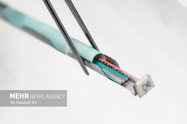 این جنین ها تا هر زمان که درخواست دهنده متقاضی باشد، زنده می مانند و در هر لحظه ای قابل استفاده اند