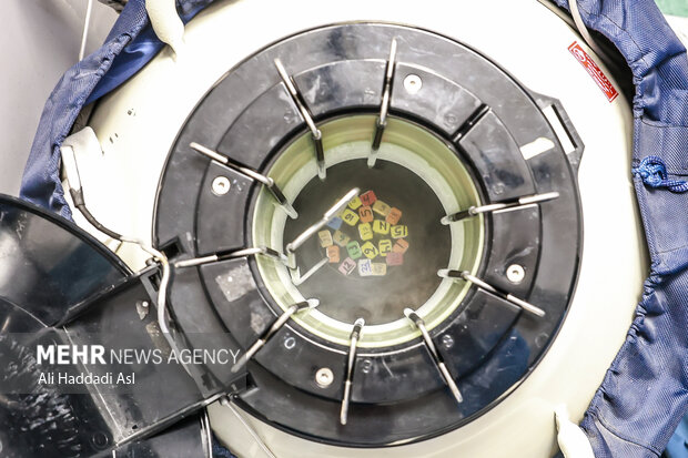 کیت های جنین منجمد باید در شرایط دمایی و محیطی خاصی قرار داشته باشند تا زنده بمانند و اگر در بیش از یک بازه زمانی اندک بیرون از تانکر و در مجاورت هوا قرار بگیرند از بین می روند