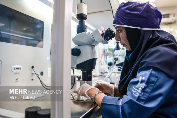 یکی از متخصص های مرکز قطره های مایع را زیر میکروسکوپ روی ظرف قرار می دهد