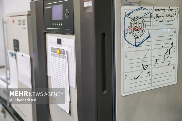 قطره ها در دستگاهی قرار می گیرند که مخزن نگه داری کاشت نام دارد و در این دستگاه فریز می شوند تا در صورت نیاز مورد استفاده قرار بگیرند